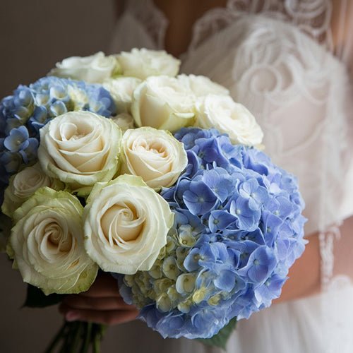 Blue and White Wedding Bouquet a Bouquet of white roses and blue hydrangeas held by a person in a white dress.